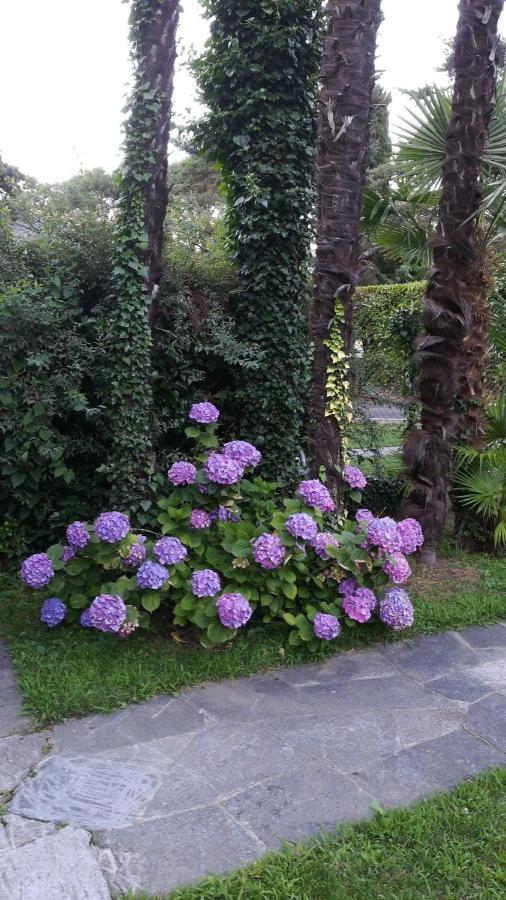 Residence Villa Margherita Cannobio Dış mekan fotoğraf